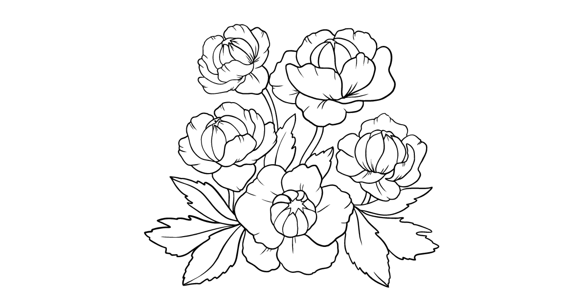 Trollius blomma Målarbild Coloring for Adults