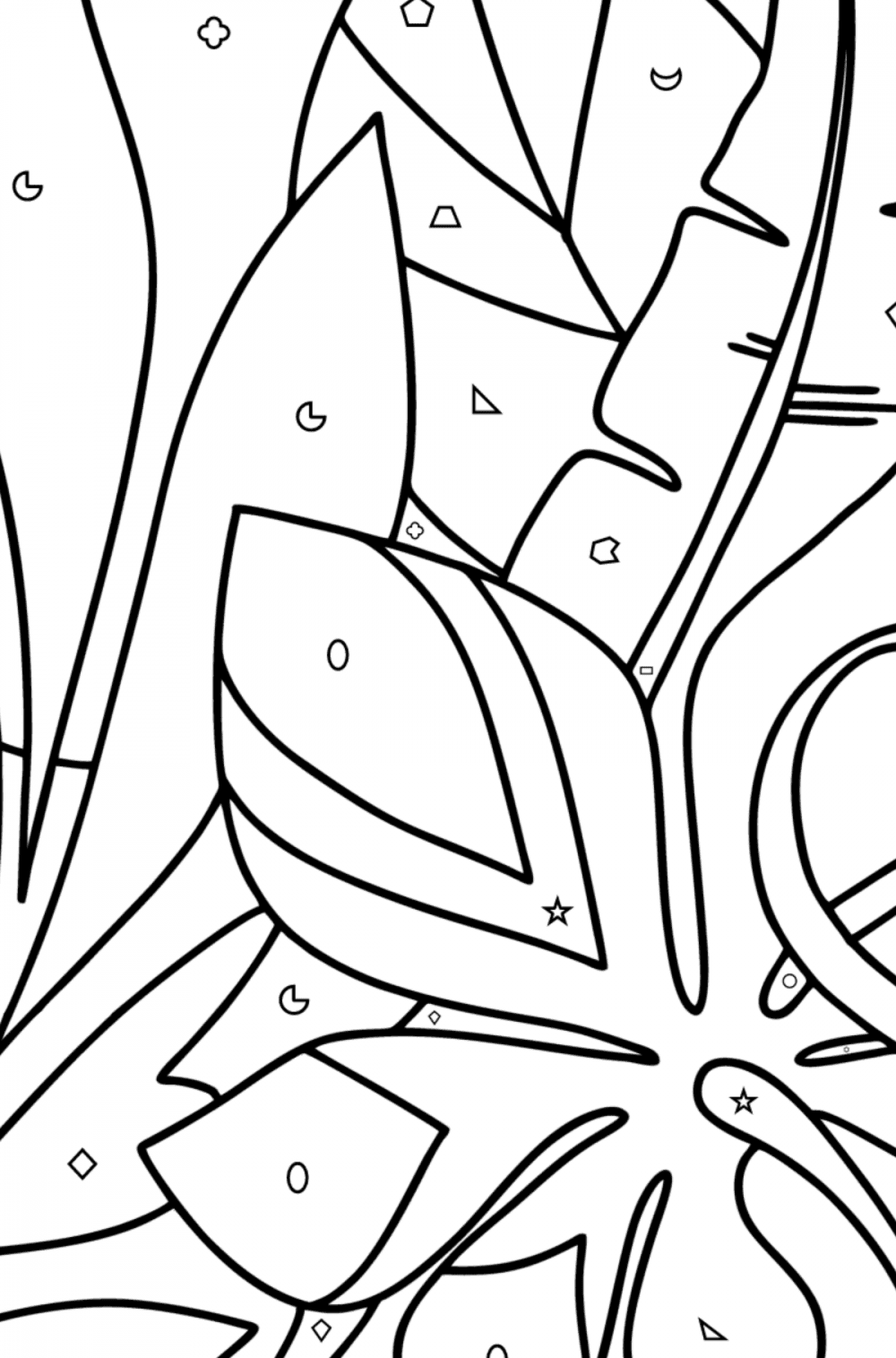 Tropical Plants Landscapes Coloring Pages For Adults