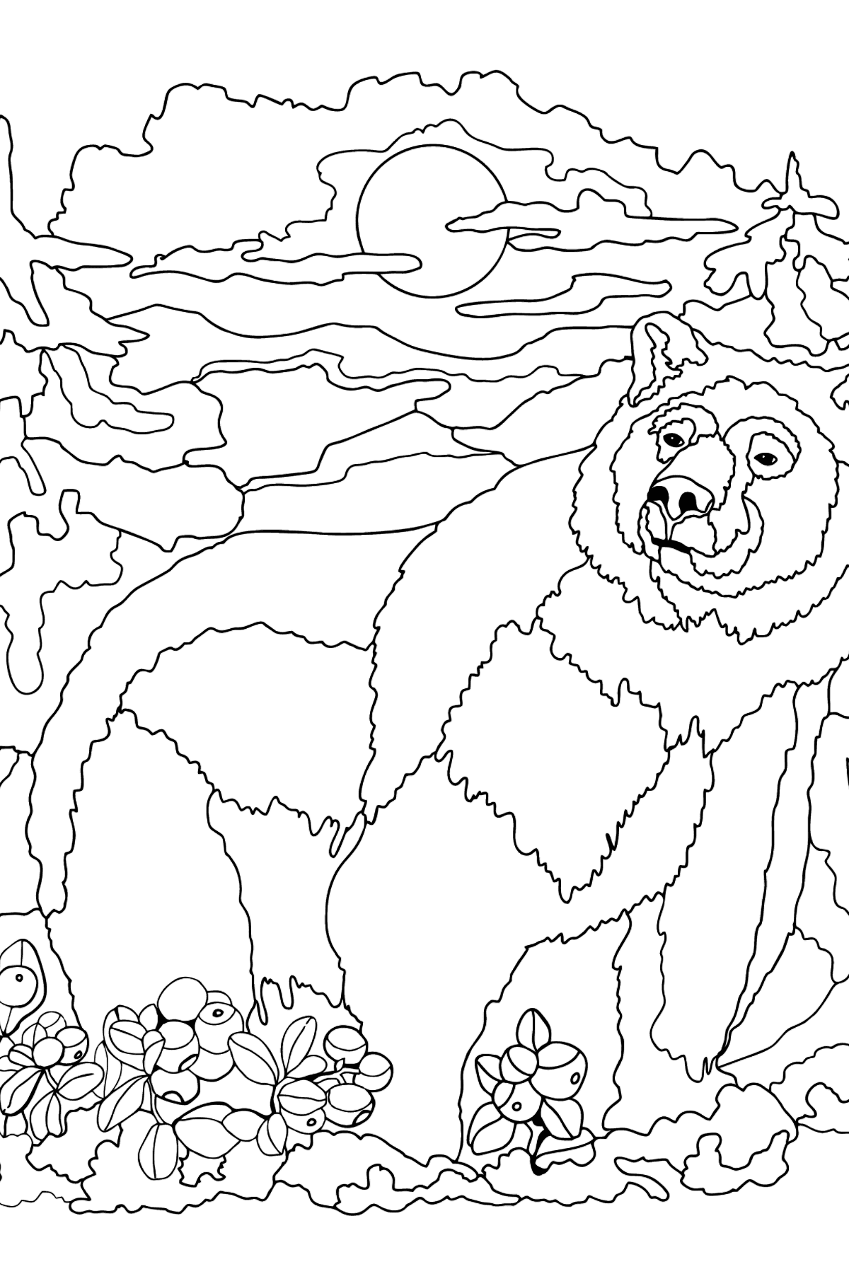 Медведи раскраска игра. Медведь раскраска. Раскраска медведь в лесу. Раскраска Медвежонок в лесу. Медведь раскраска для взрослых.