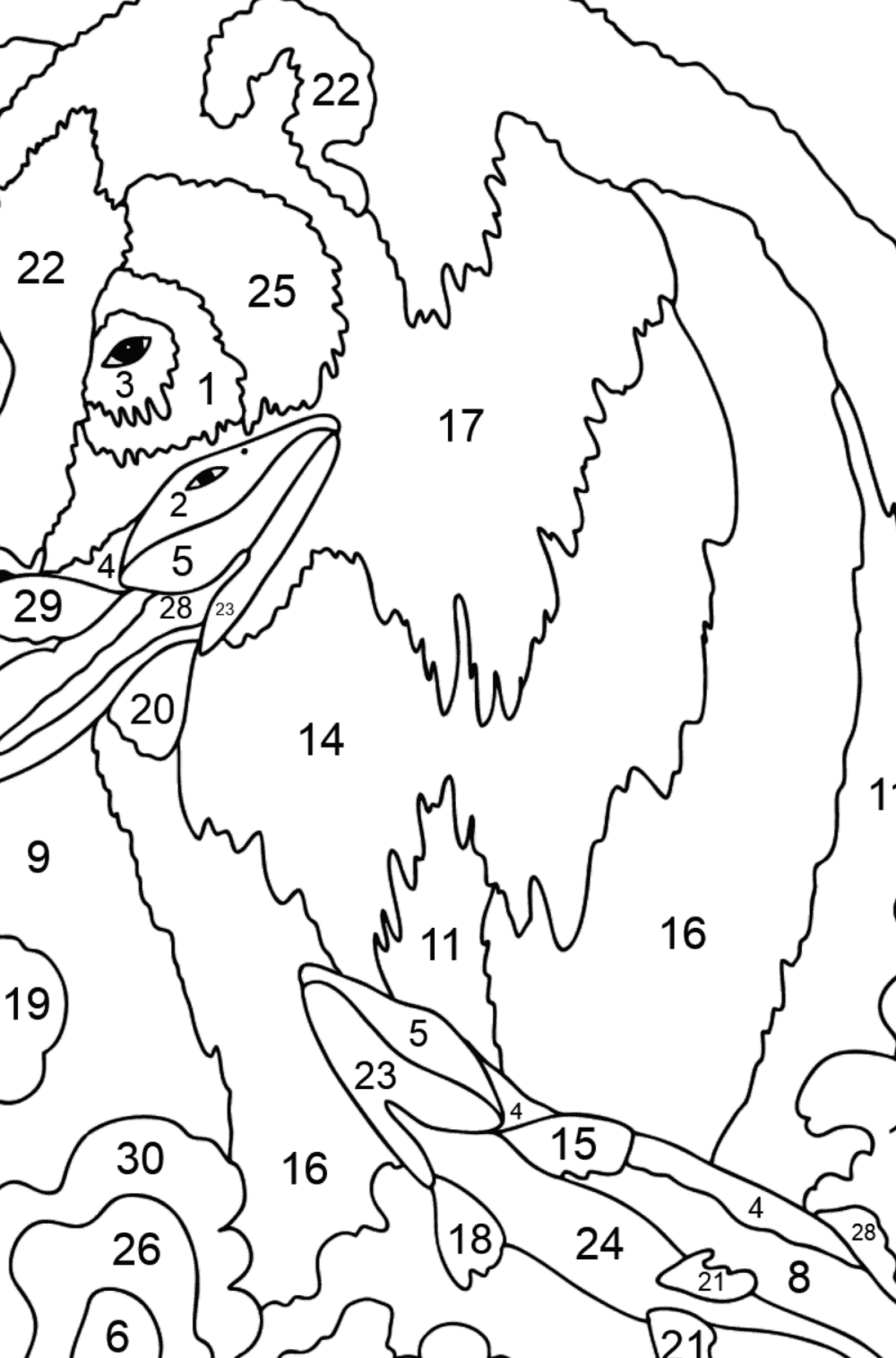 Bear catches a fish - Bears coloring pages for Adults online