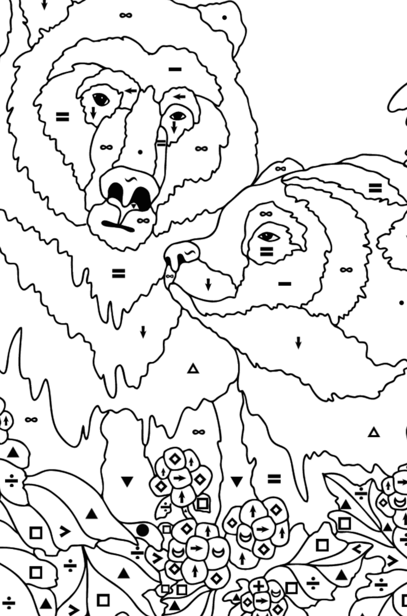 Pair of brown bears - Bears coloring pages for Adults online