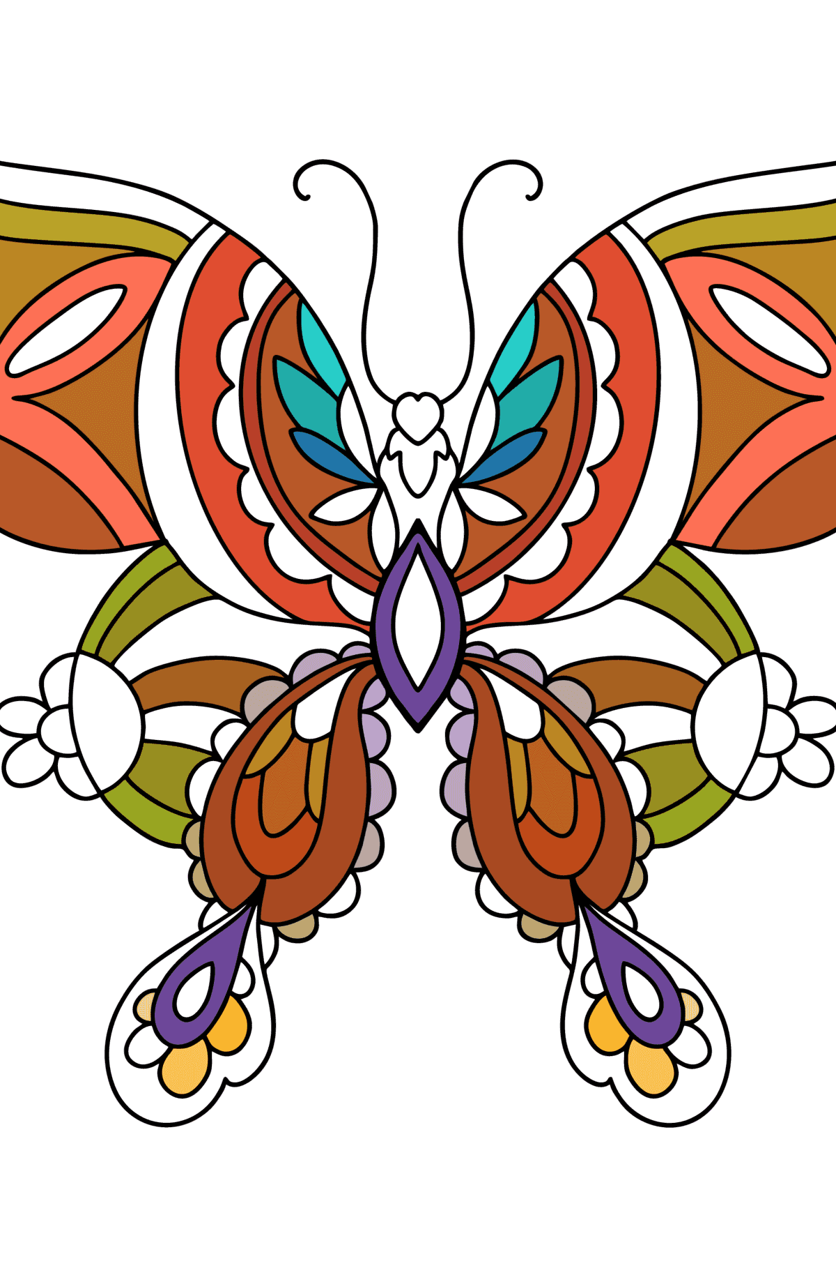butterfly-kallima-butterflies-coloring-pages-for-adults-online