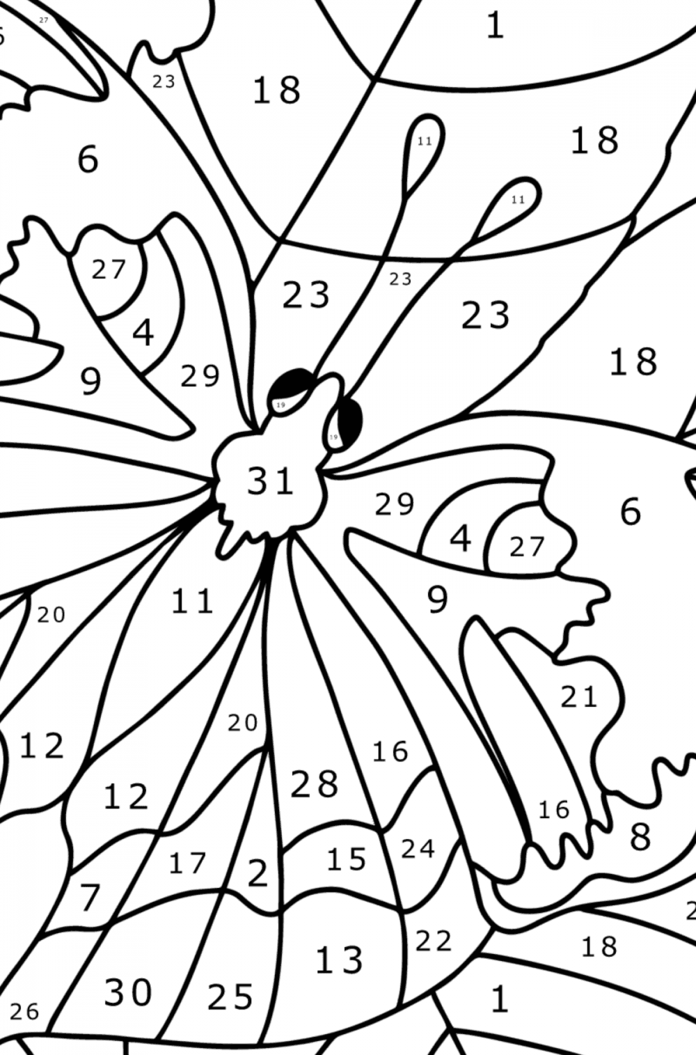 Butterfly Kallima - Butterflies coloring pages for Adults Online