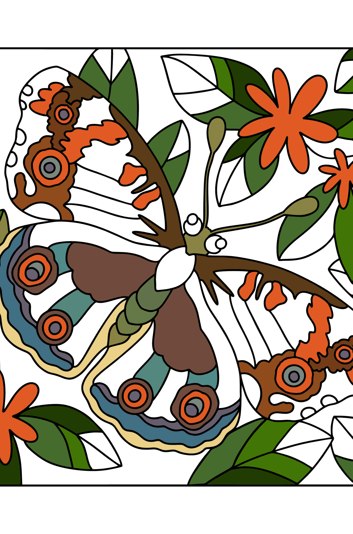 butterfly-kallima-butterflies-coloring-pages-for-adults-online