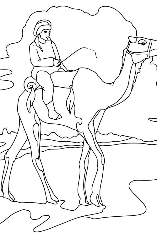 Camels coloring pages for Adults - Online or Printable