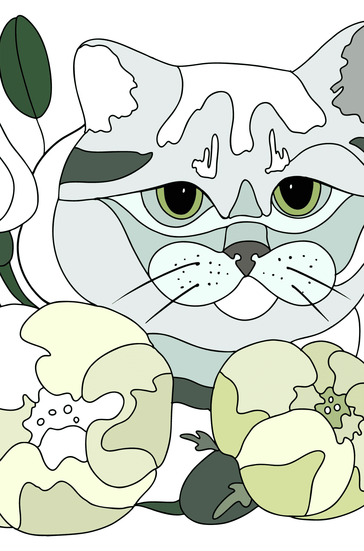 Dibujo Gato británico para colorear - Dibujos para Colorear para Adultos