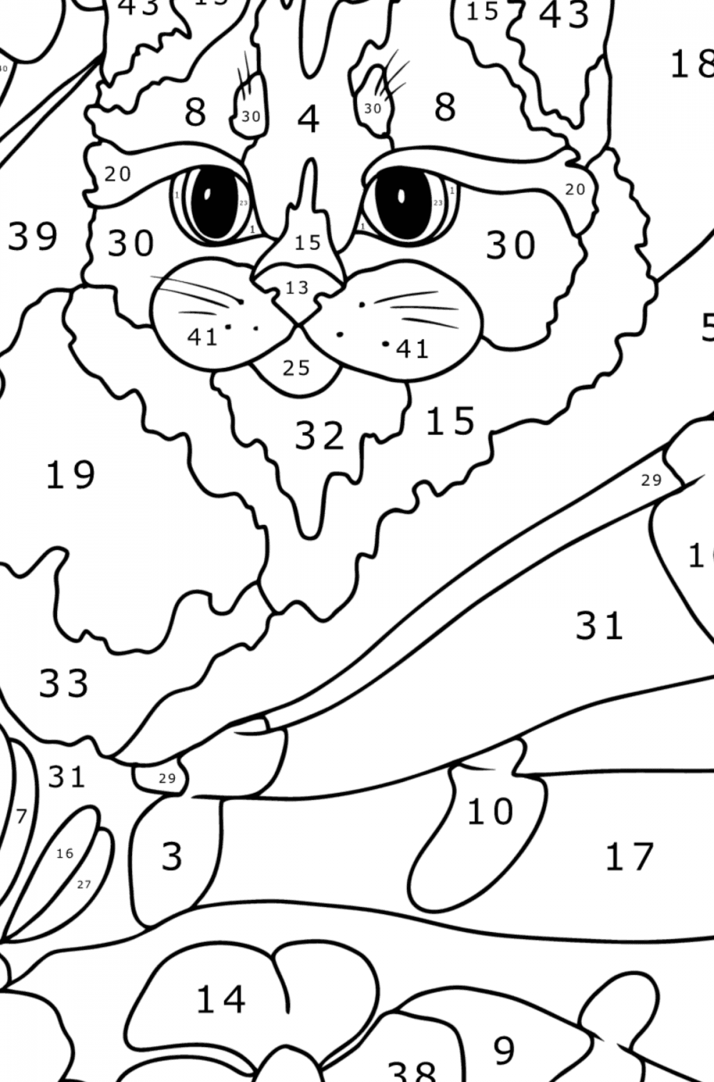 Gray kitten - Cats Coloring pages for Adults Online and Print