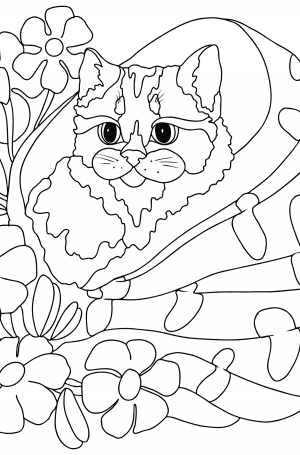 Gray kitten - Cats Coloring pages for Adults Online and Print