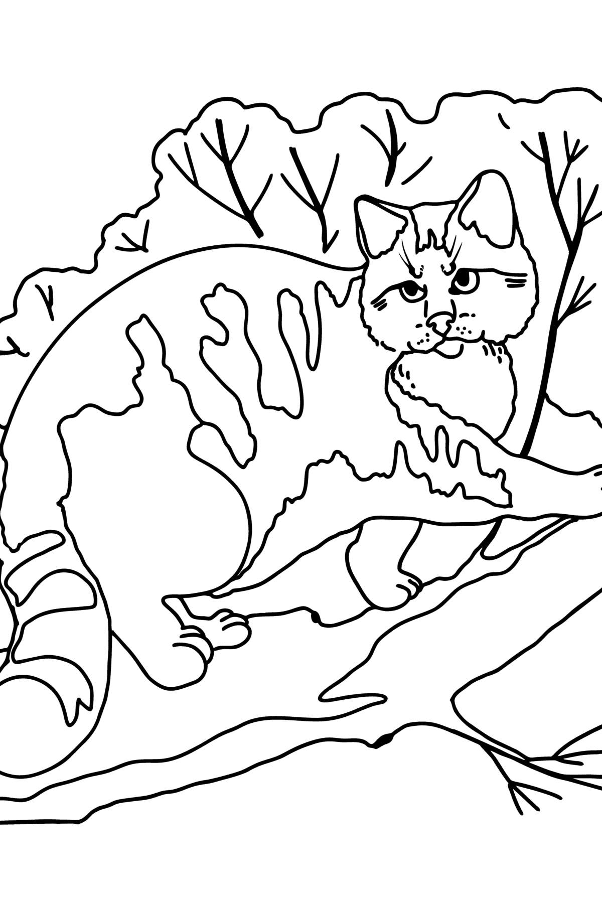 Coloring Pages Of Wild Cats