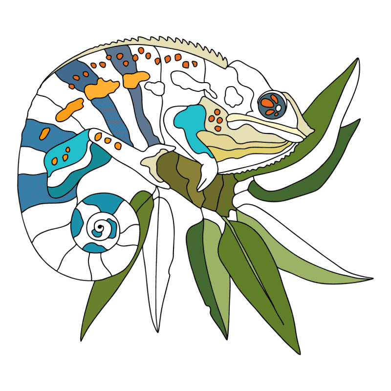 Chameleons coloring pages for Adults - Online or Printable