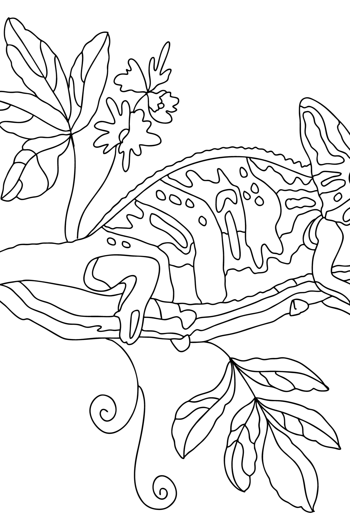 Desenho de camaleão bonito para colorir  Desenhos para colorir e imprimir  gratis