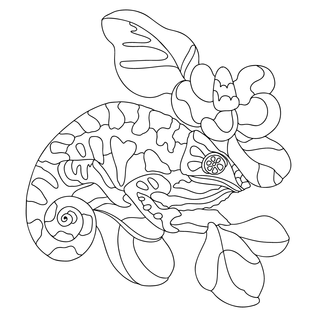 Common Chameleon Coloring Page Blank Coloring Pages F - vrogue.co