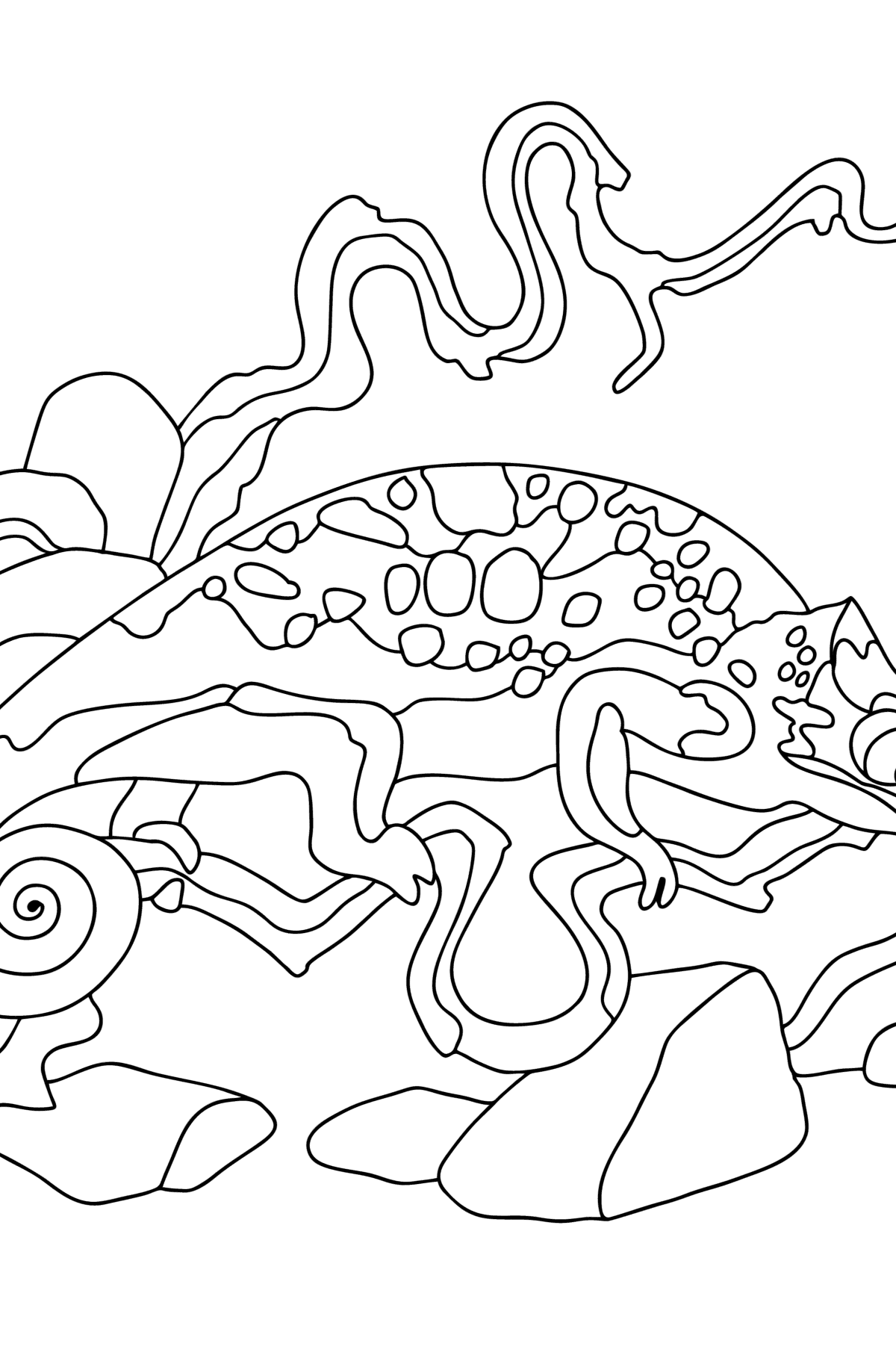 Desenho de Camaleão para colorir  Desenhos para colorir e imprimir gratis