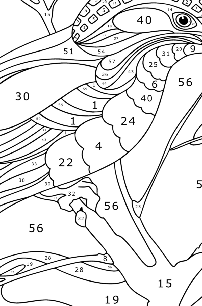 Ordinary Kingfisher coloring page | Coloring-for-Adults.com