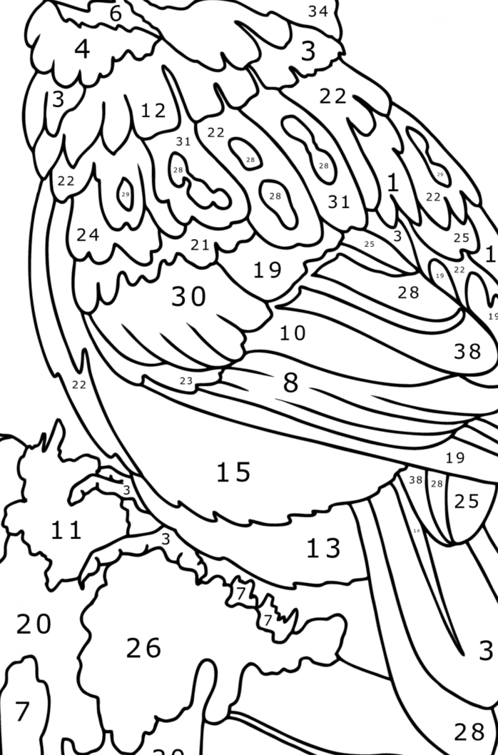 Cute bird - Birds Coloring pages for Adults Online and Print