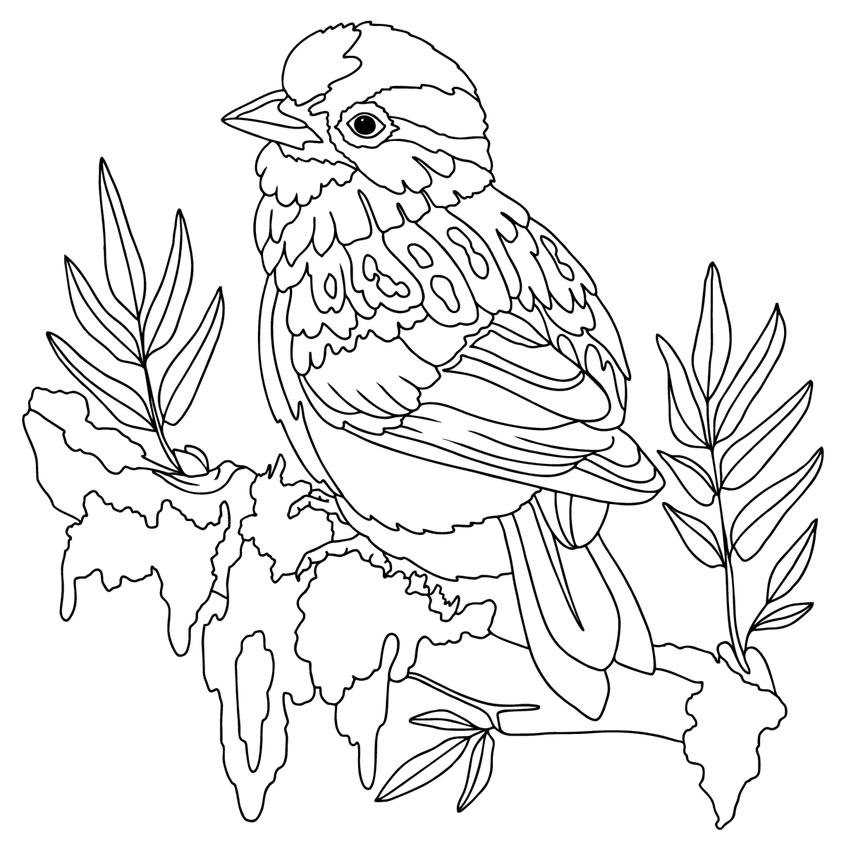 Cute bird - Birds Coloring pages for Adults Online and Print