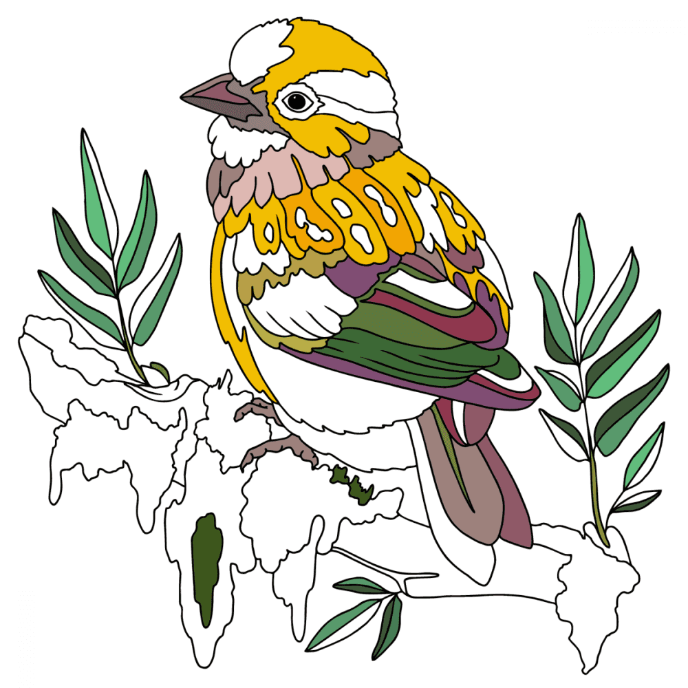 Beautiful Birds coloring pages for Adults ♥ Print and Online!