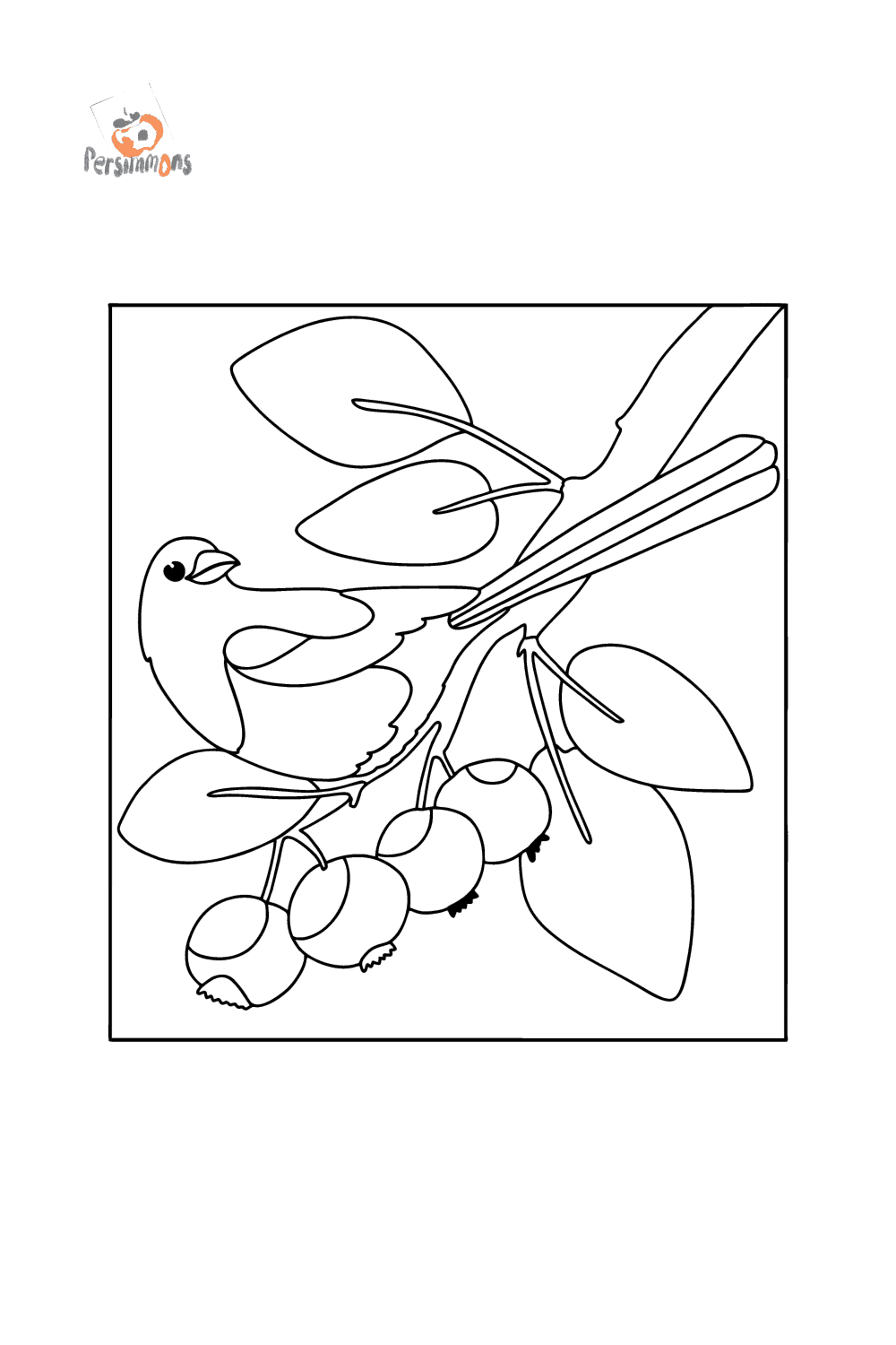 Magpie on a tree birds coloring pages for adults online and print