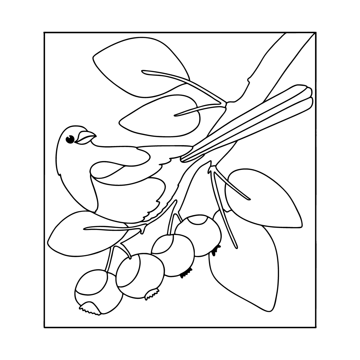 magpie-on-a-tree-birds-coloring-pages-for-adults-online-and-print