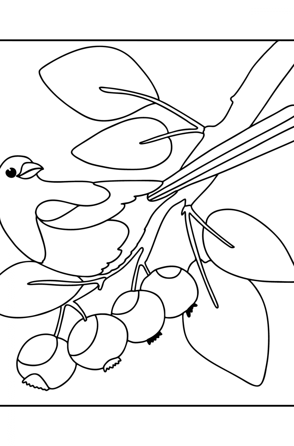 Magpie on a tree birds coloring pages for adults online and print