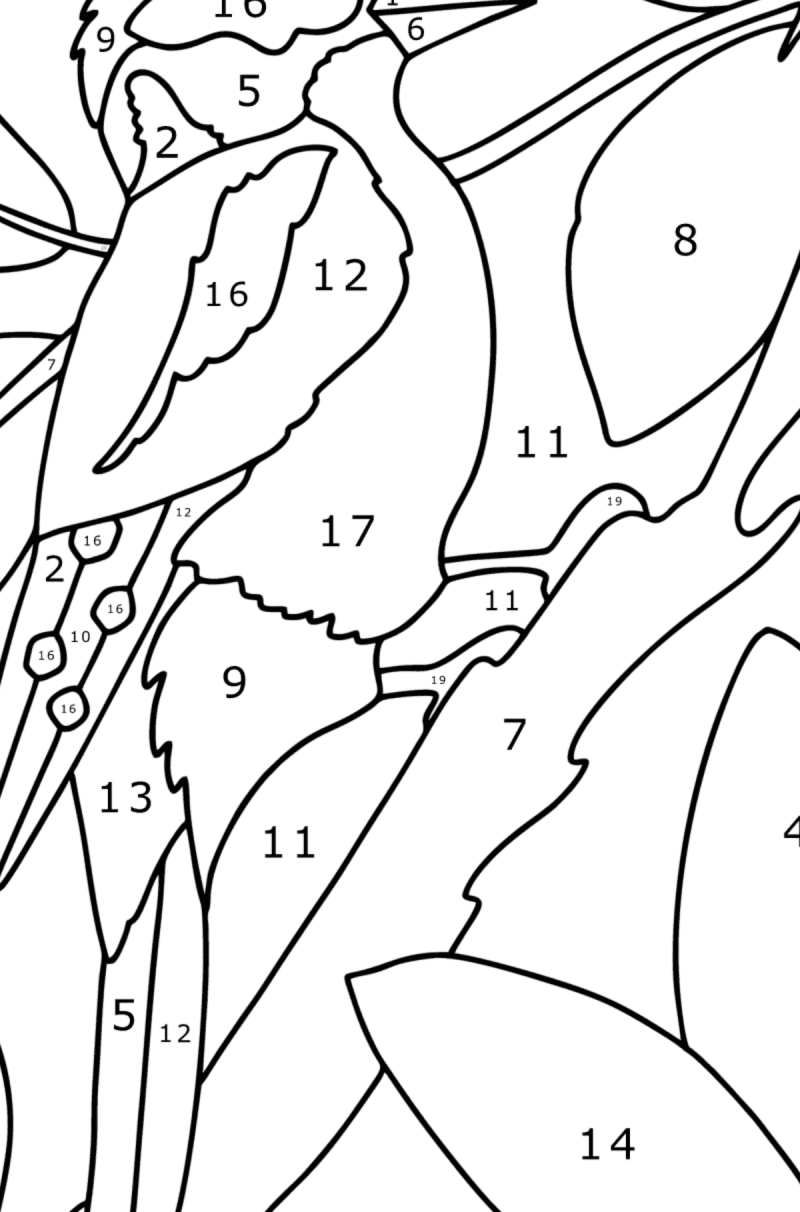 Woodpecker on a tree - Birds Coloring pages for Adults Online