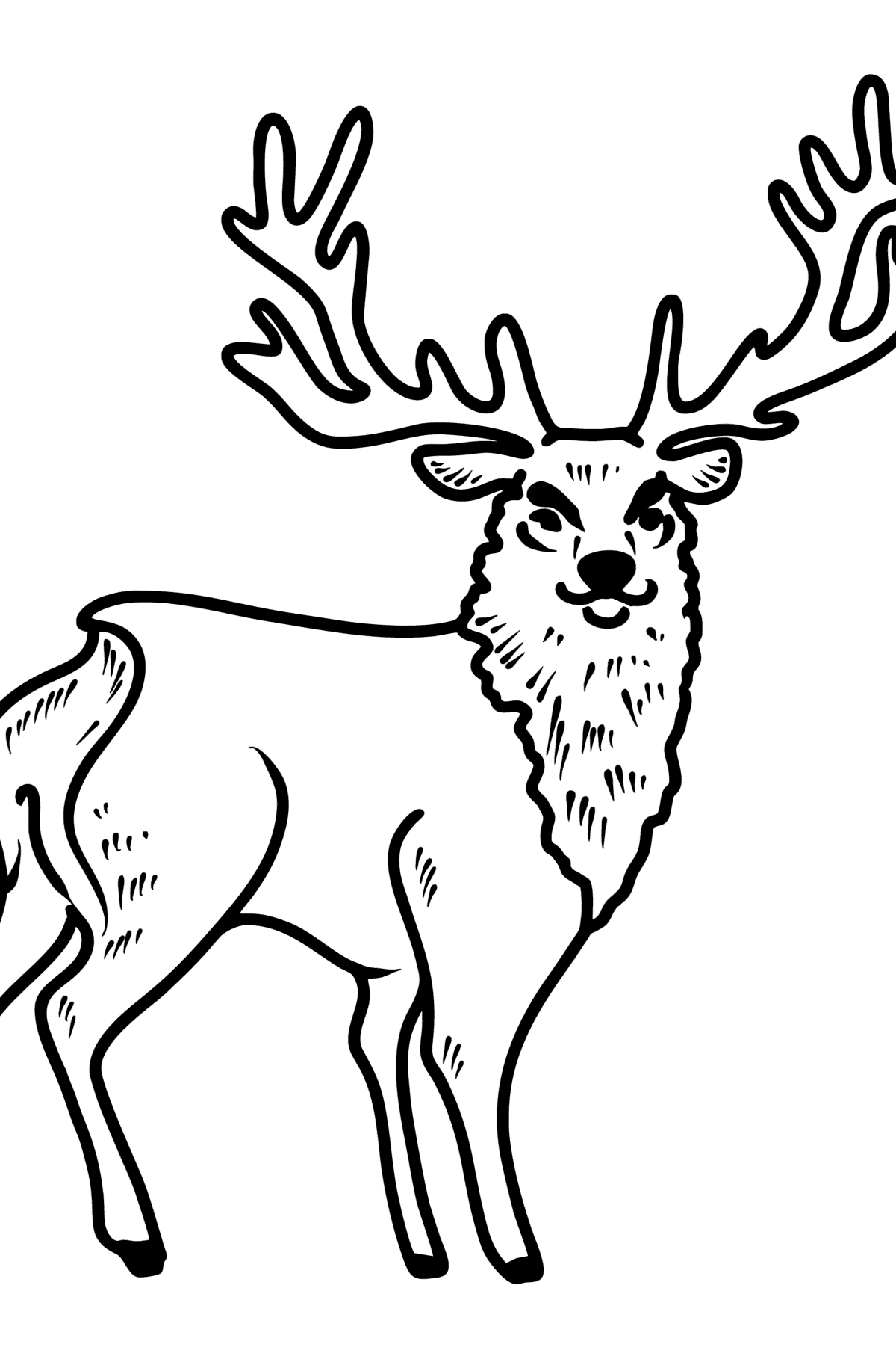 Conjunto de desenho animado bonito cervo doodle para crianças para colorir  e imprimir.