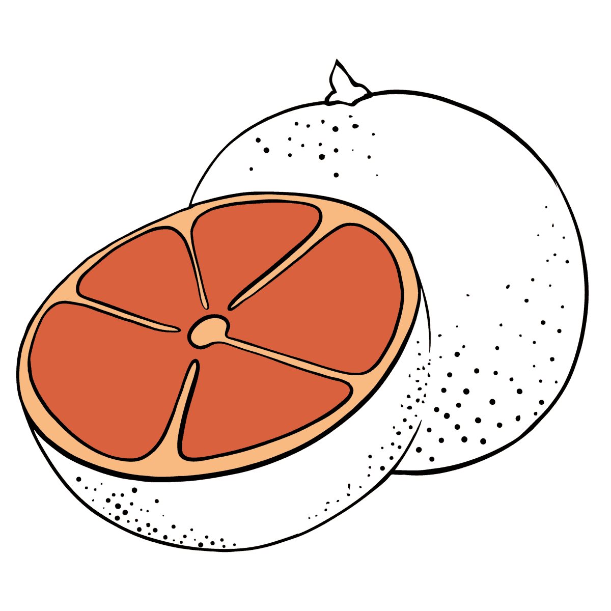 Грейпфрут раскраска