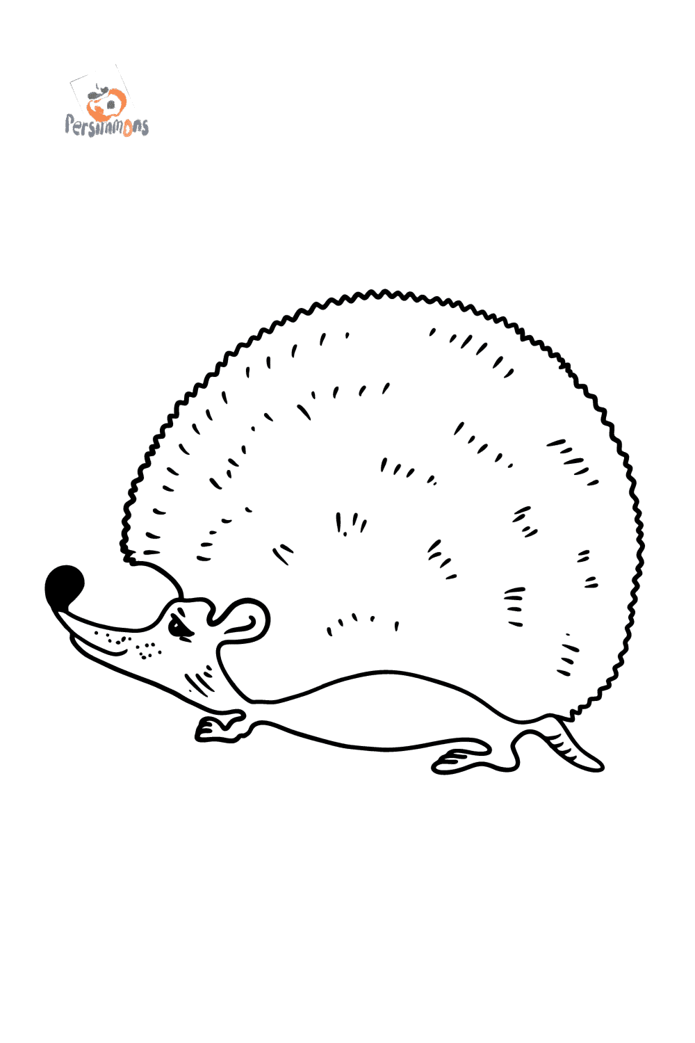 Coloring page Hedgehog drawing for Kids - Play online for Free