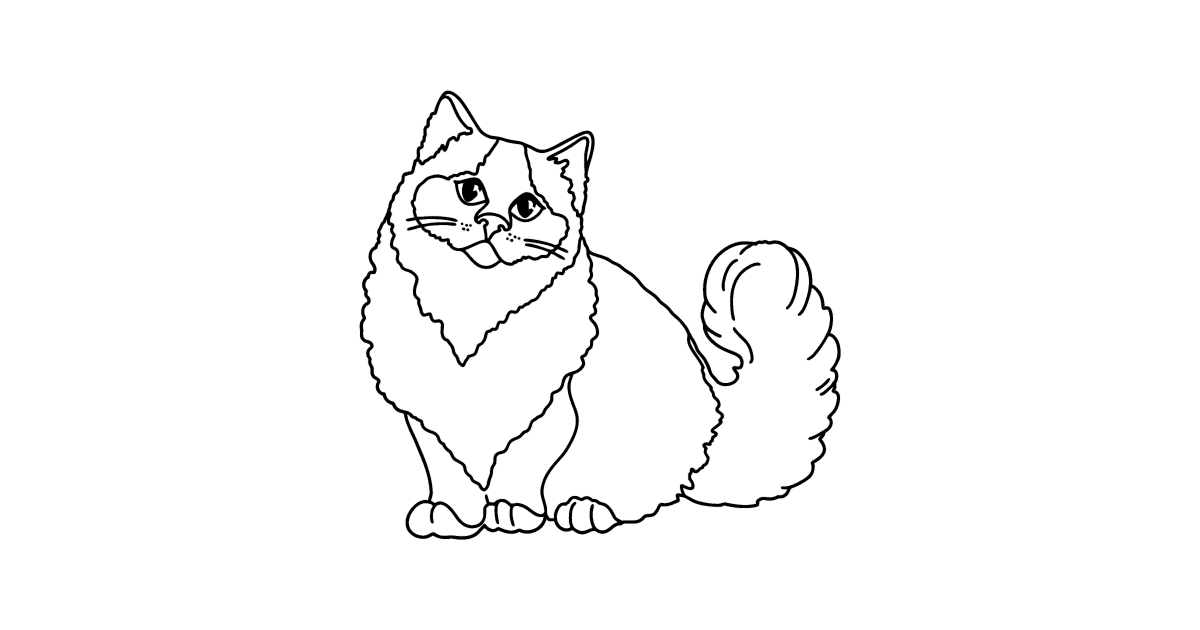 Coloring page Himalayan cat for Kids - Play online for Free