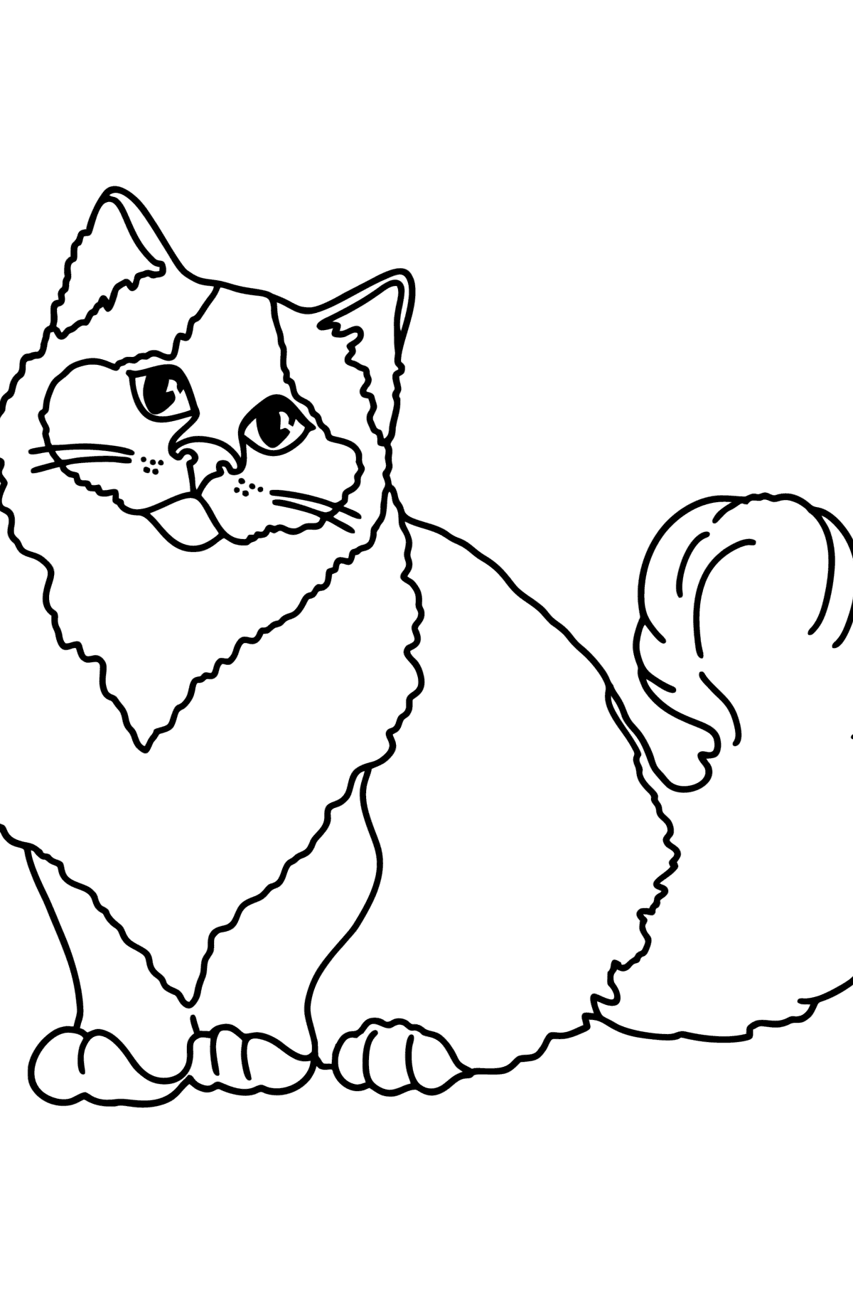 Coloring page Himalayan cat for Kids - Play online for Free