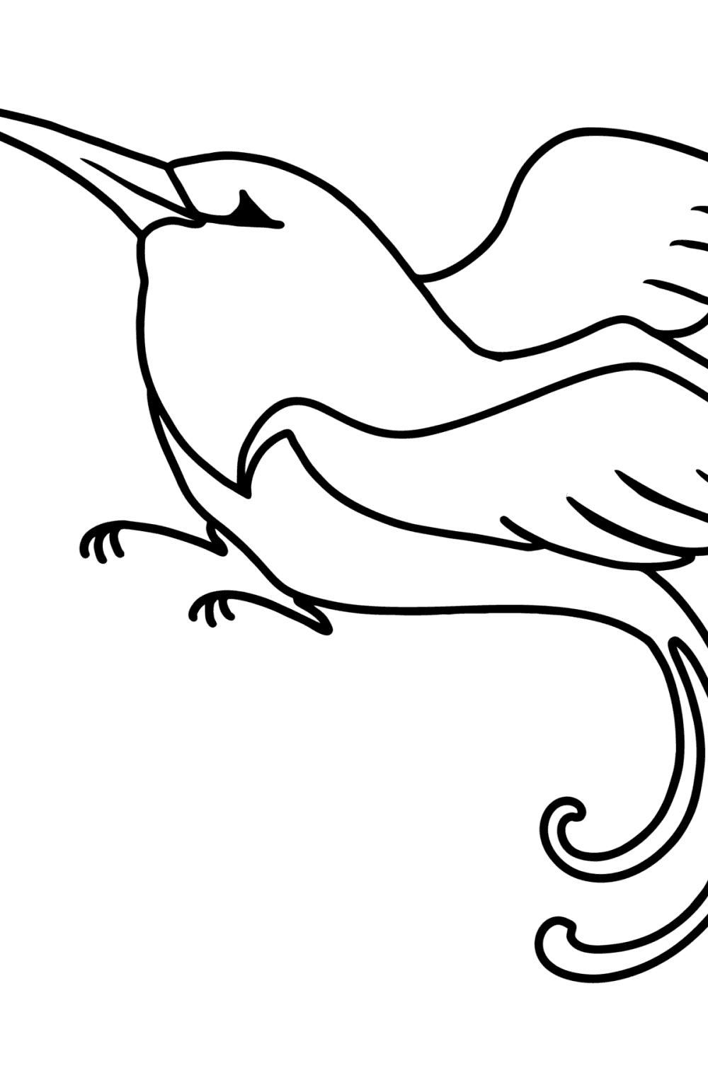 coloring-page-hummingbird-for-kids-play-online-for-free