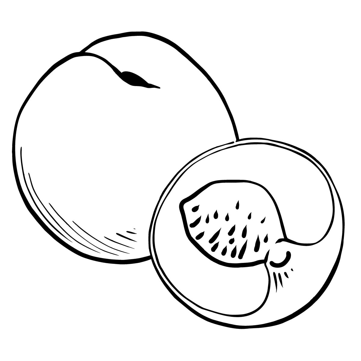 Coloring Page Nectarine For Kids Play Online For Free coloring-page-nectarine-for-kids-play-online-for-free