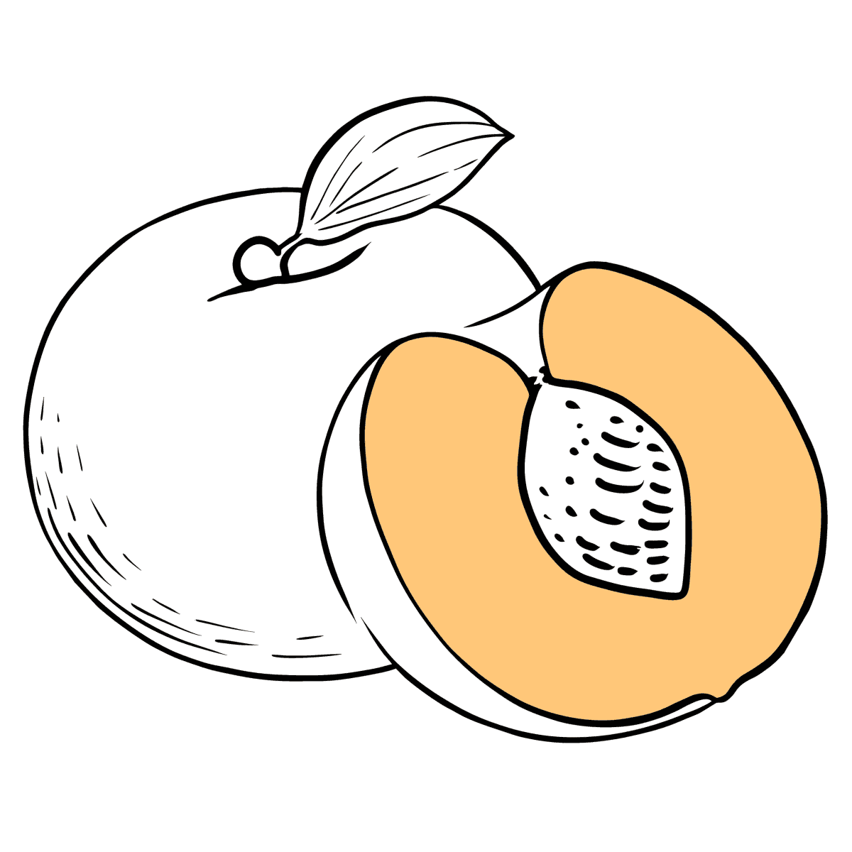 Персик раскраска
