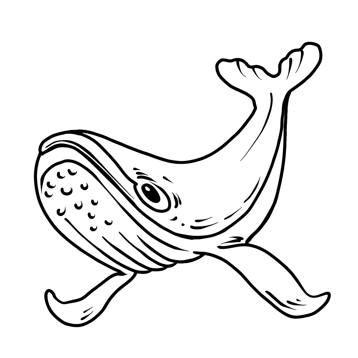 desenho de sereia com baleia para colorir para crianças 7819050 Vetor no  Vecteezy