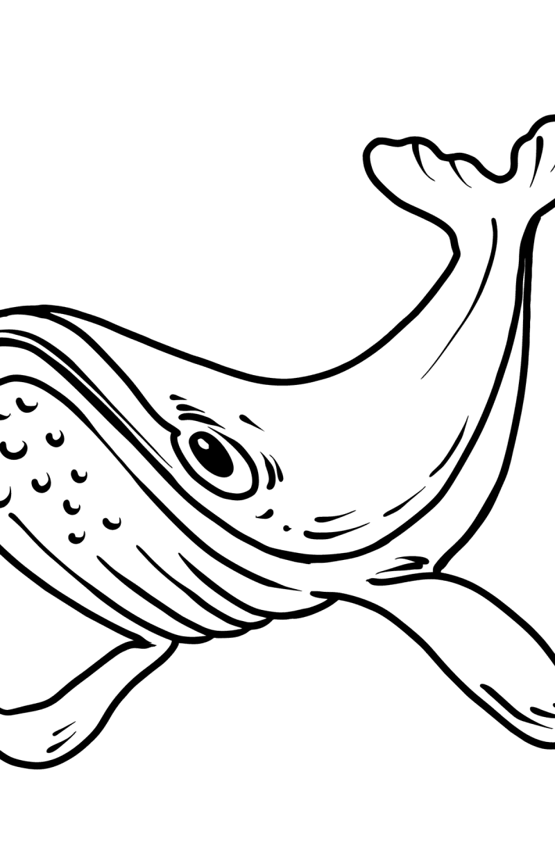 Coloring Page Whale Kece Art - vrogue.co