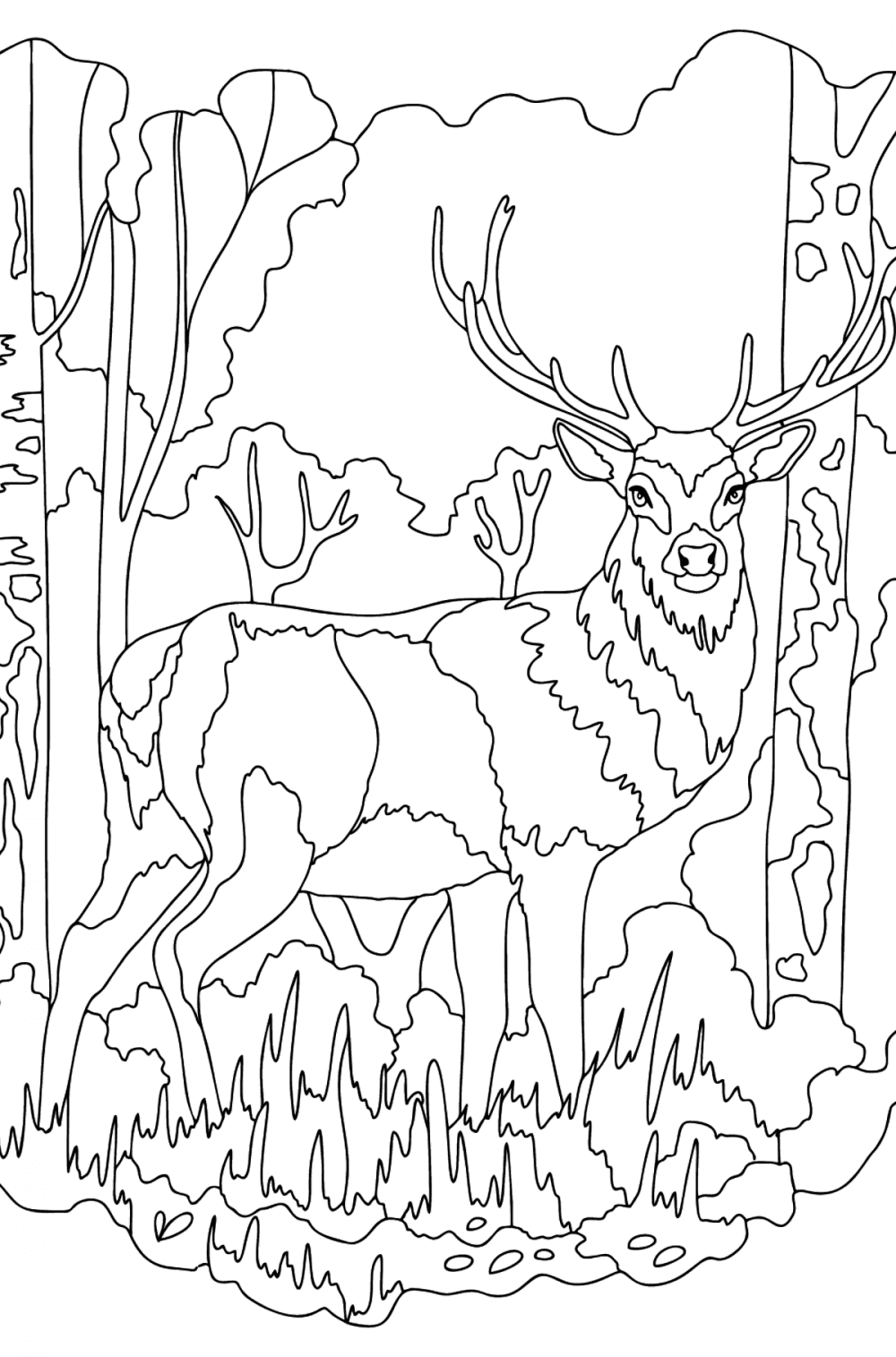 Deer Coloring Pages for Adults ♥ Print and Online for Free!