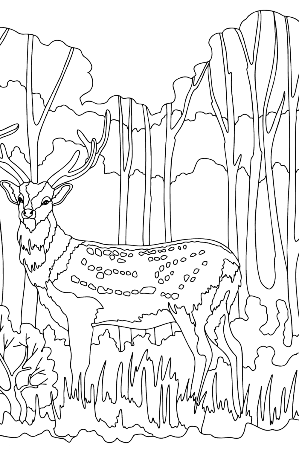 Dappled deer - Deer Coloring Pages for Adults for Free