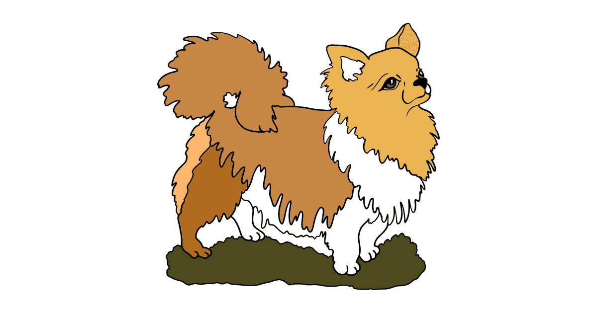 Little chihuahua dogs coloring pages for adults online print