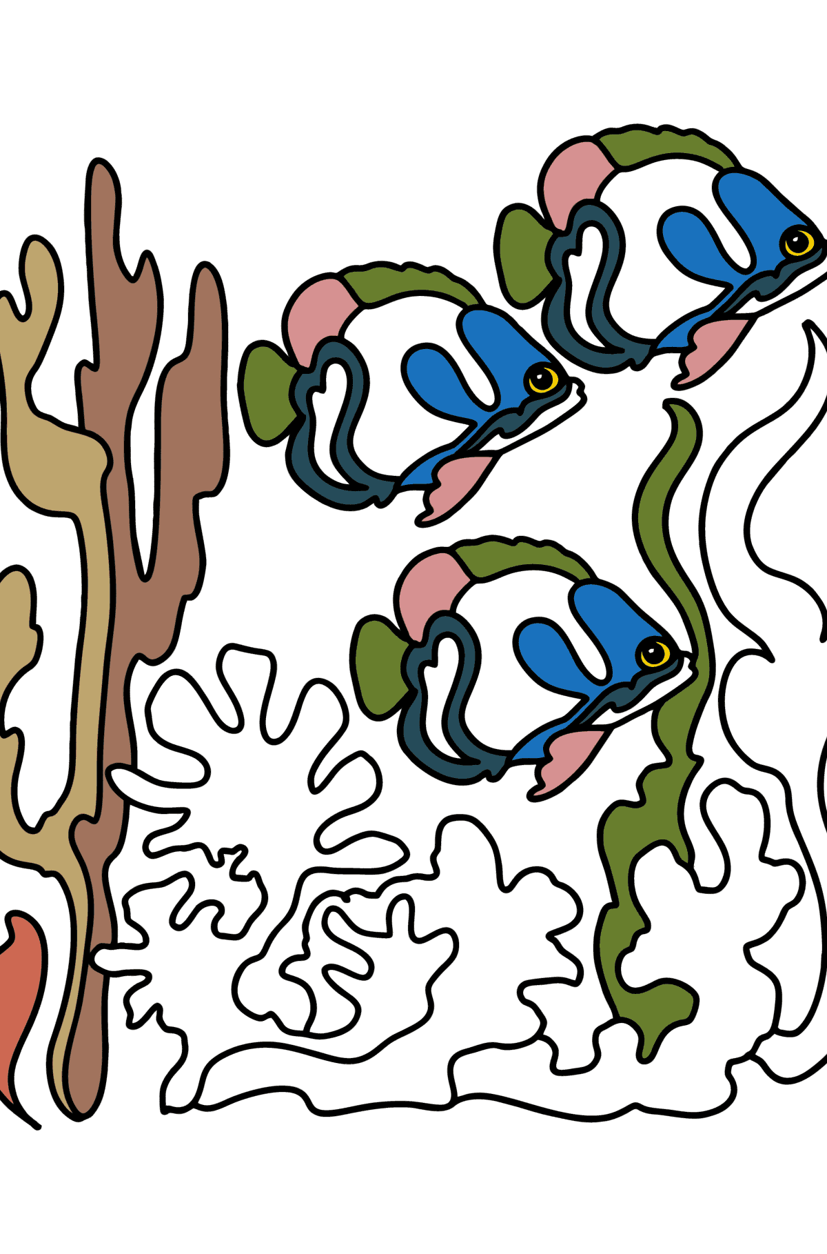 Desenho de Bando de Peixe Anjo em Coral para colorir - Imagens para Colorir para adultos