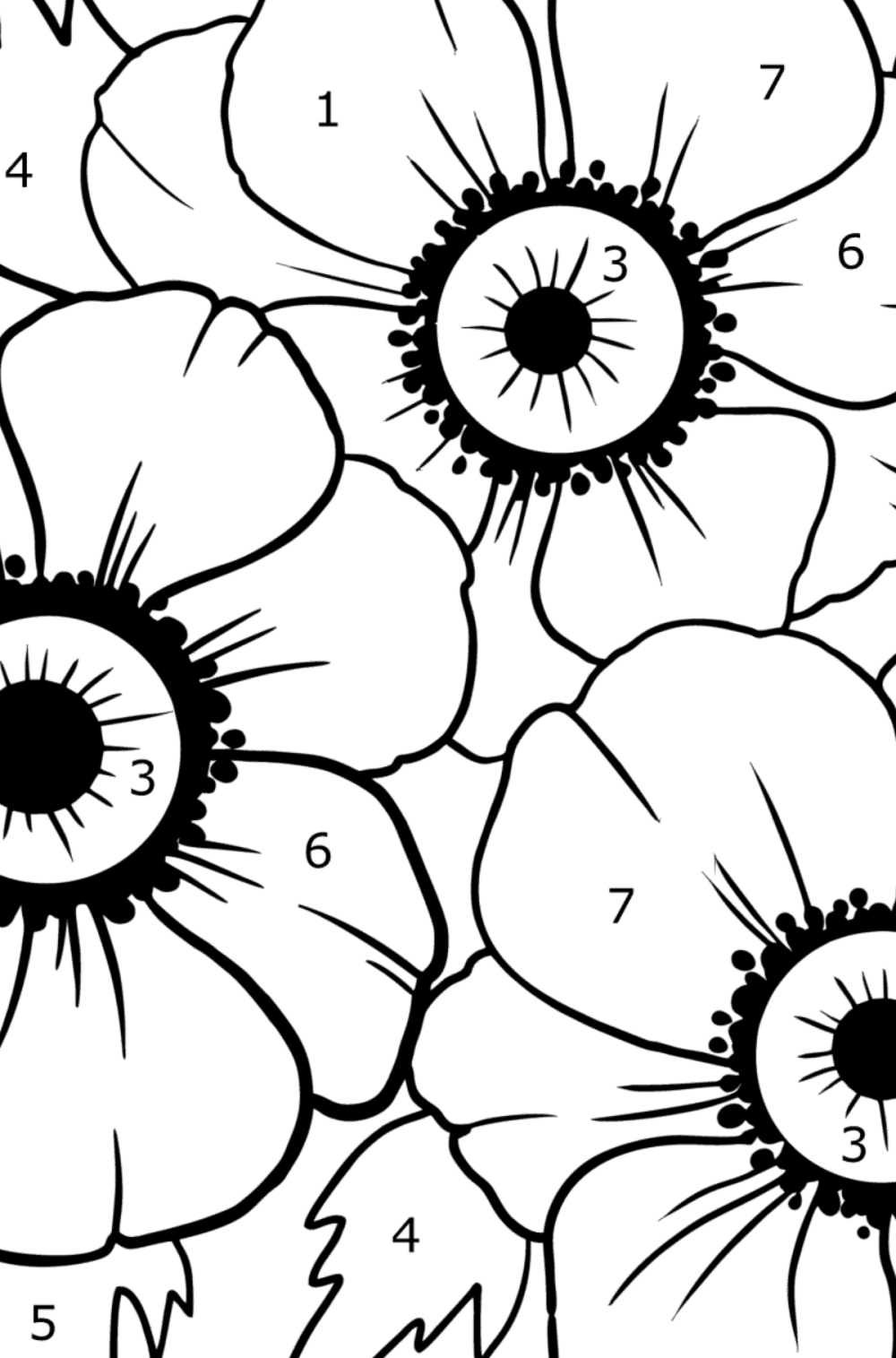 Beautiful Anemone Flowers Coloring Pages For Adults Online beautiful-anemone-flowers-coloring-pages-for-adults-online