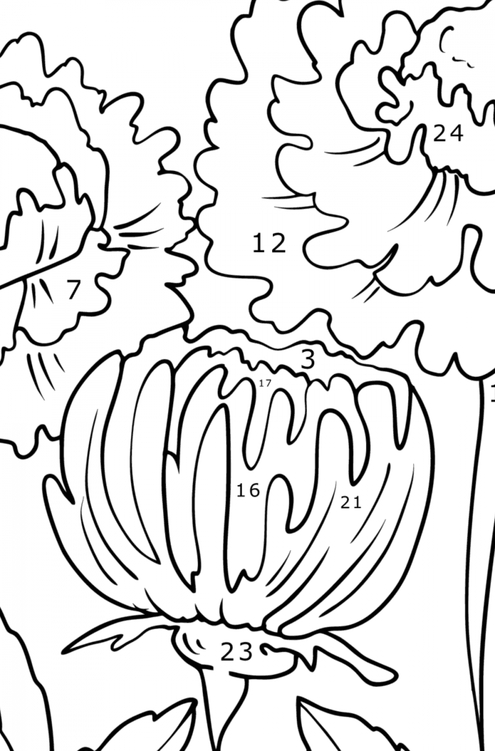 beautiful-asters-flowers-coloring-pages-for-adults-online