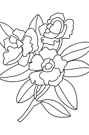 Beautiful gardenia - Flowers Coloring Pages for Adults Online