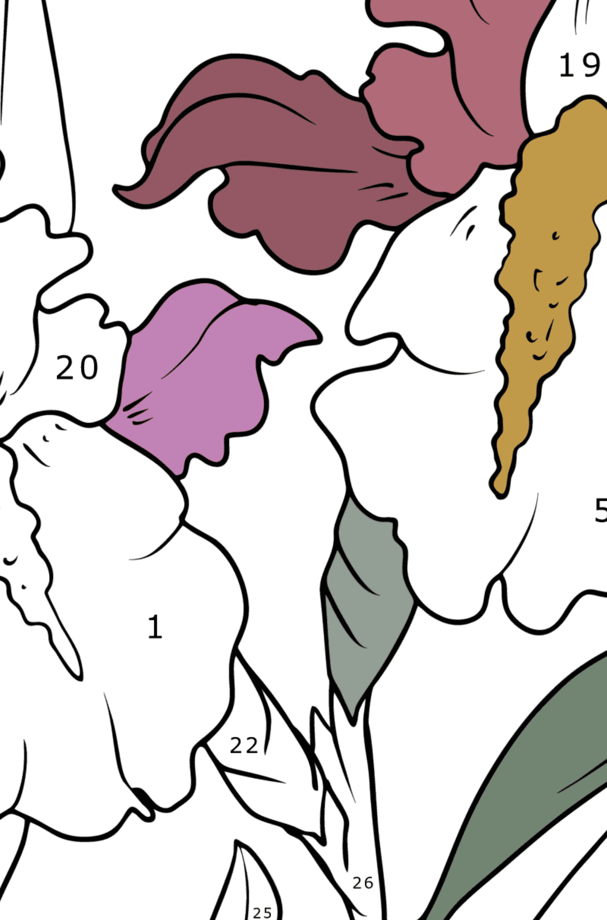 Coloring page Beautiful Irises - Coloring by Numbers for Adults