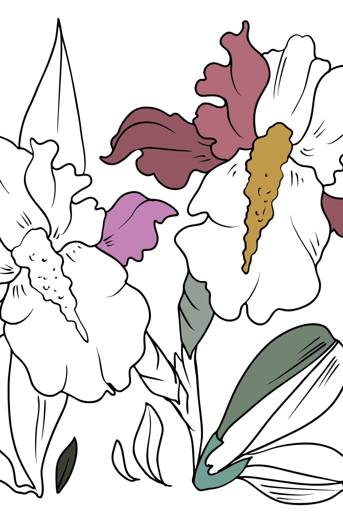 Coloriage Beaux iris - Coloriages pour adultes