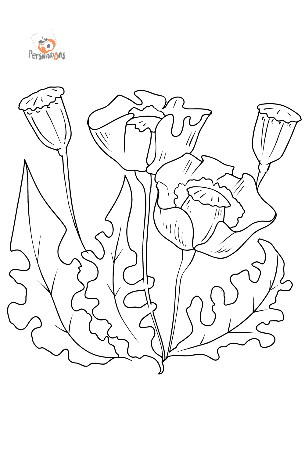 beautiful-poppies-flowers-coloring-pages-for-adults-online