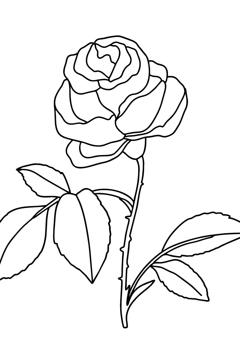 Flowers Coloring Pages for Adults - Print and Online for Free!