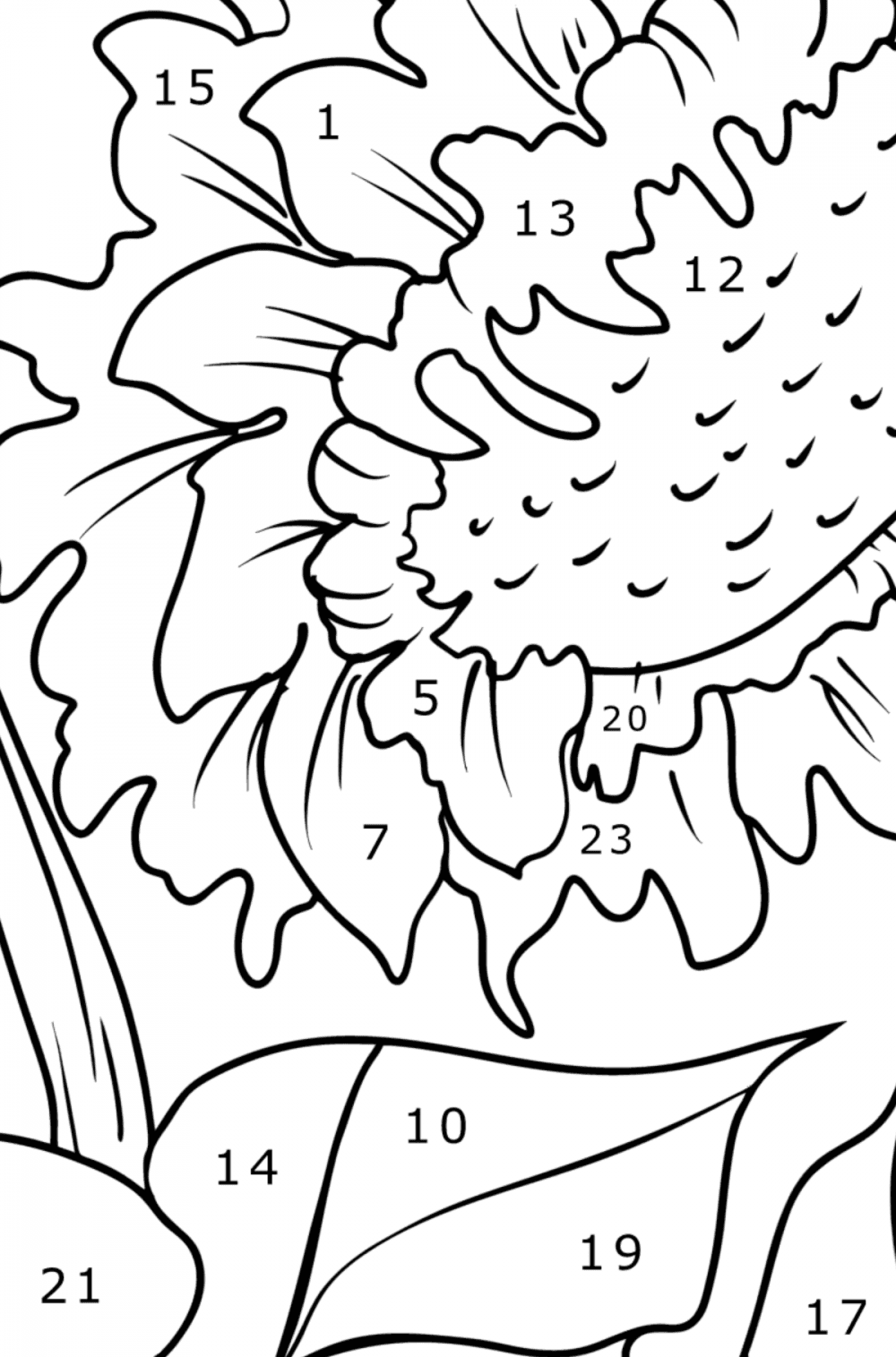Beautiful sunflower - Flowers Coloring Pages for Adults Online