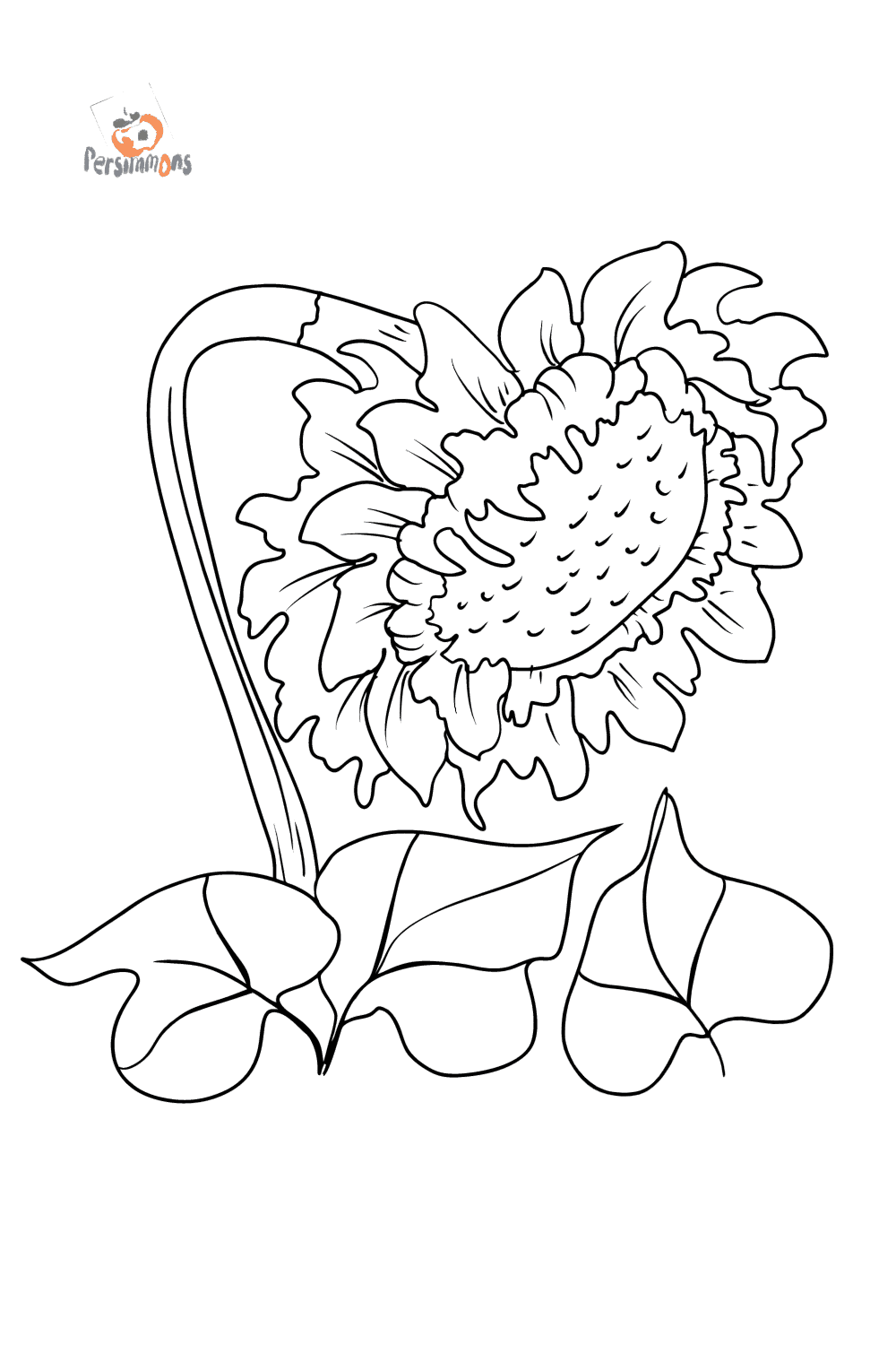 chrysanthemum book coloring pages