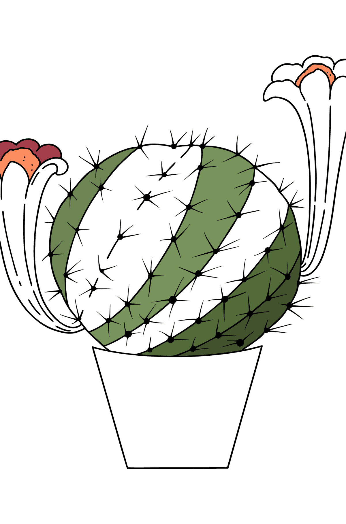 Coloriage Cactus de Bolivie - Coloriages pour adultes