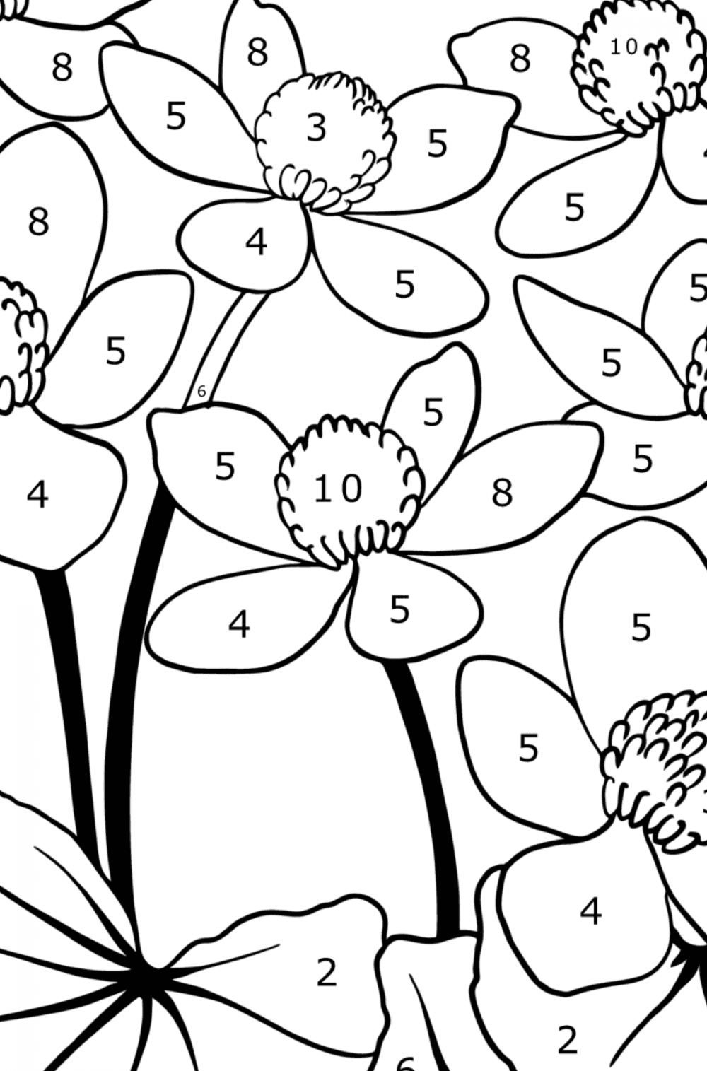 Buttercup flowers - Flowers Coloring Pages for Adults Online